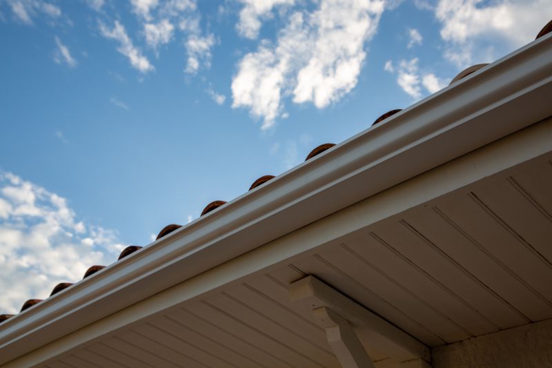 Gutter and Edge Repair